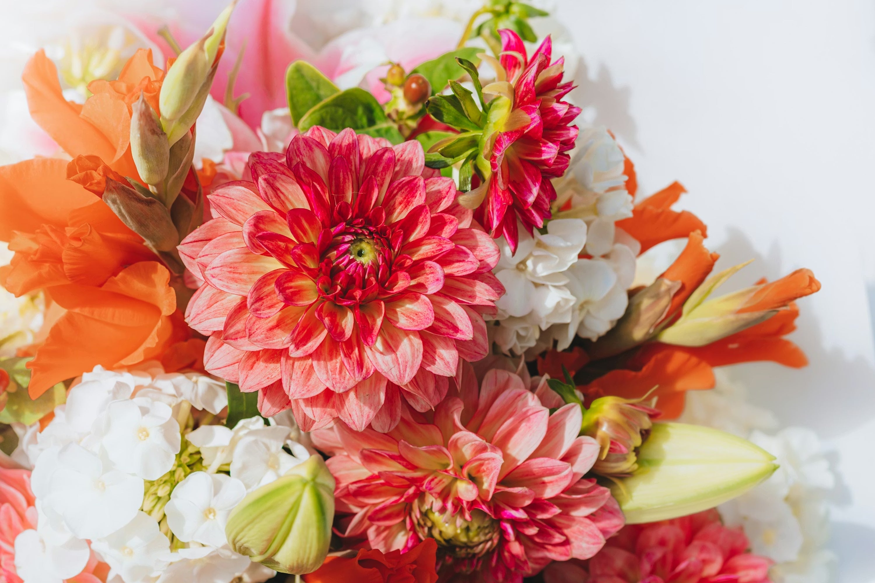 Nos Fleurs