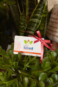 Carte-Cadeaux