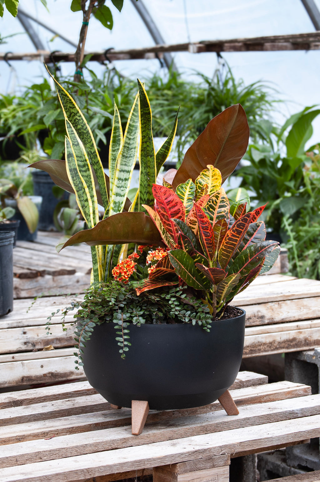 Jardin de plantes - Grand 15''