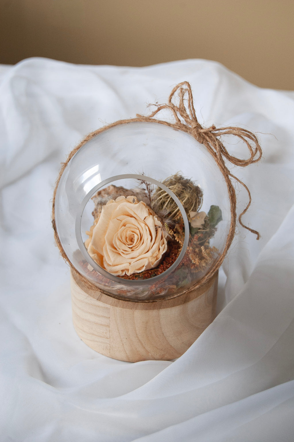 Rose éternelle – Douceur