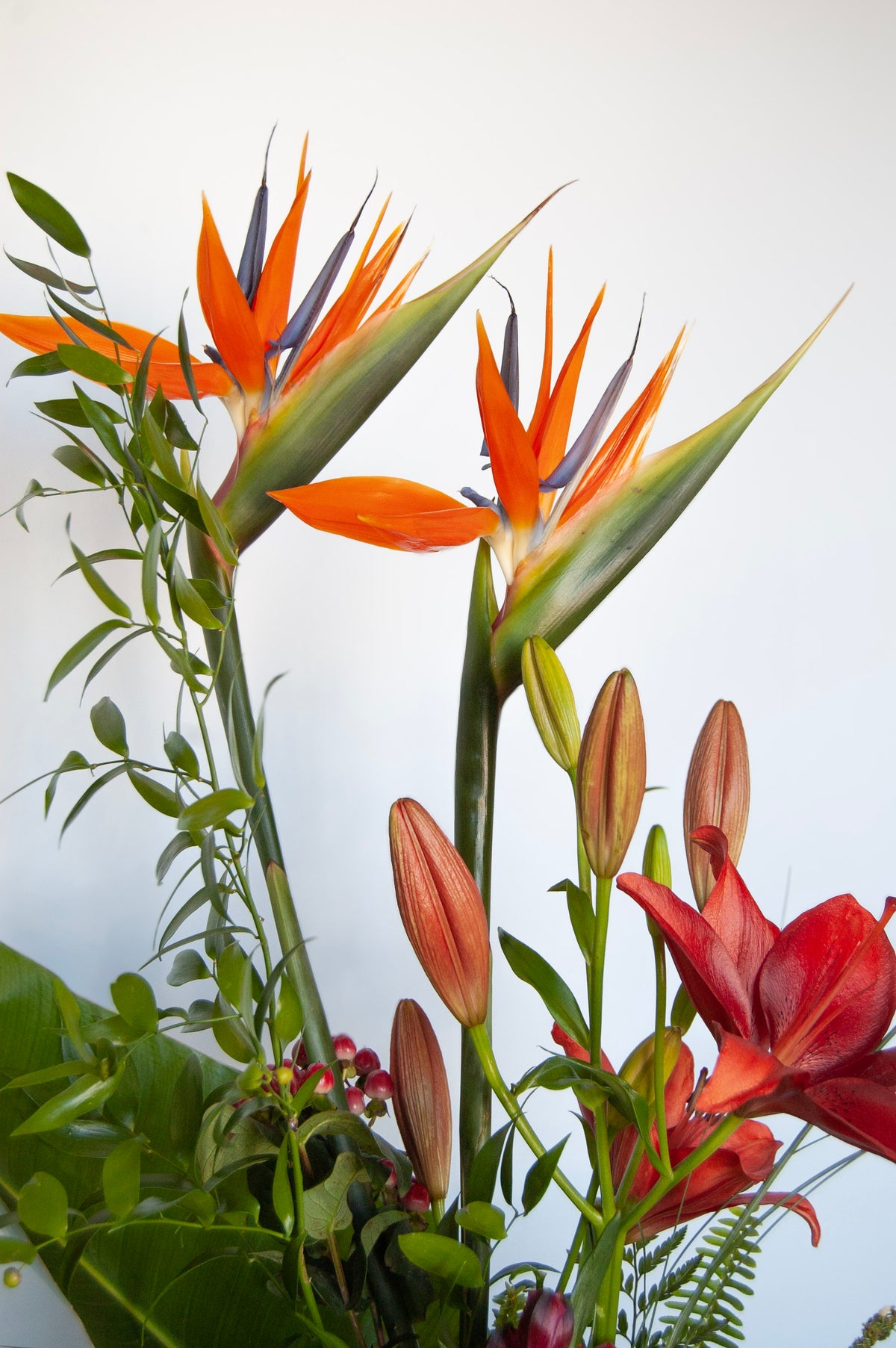 Arrangement floral - Grâce exotique
